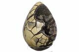 Huge, Septarian Dragon Egg Geode ( lbs!) - Black Crystals #383875-1